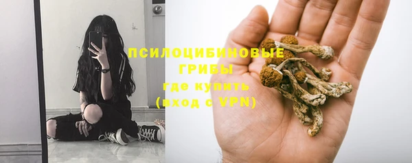СК Алексин