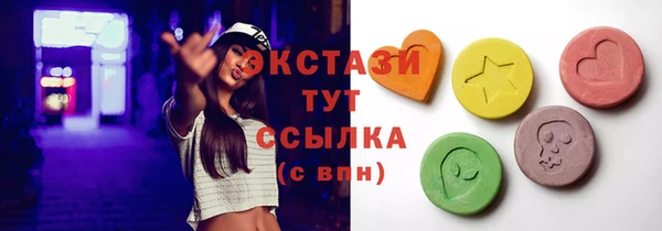 СК Алексин
