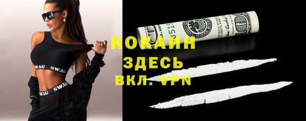 СК Алексин