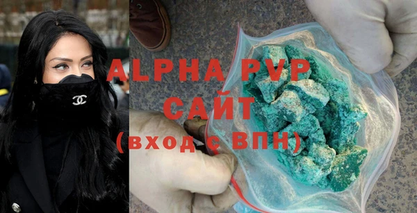 СК Алексин