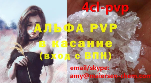 СК Алексин