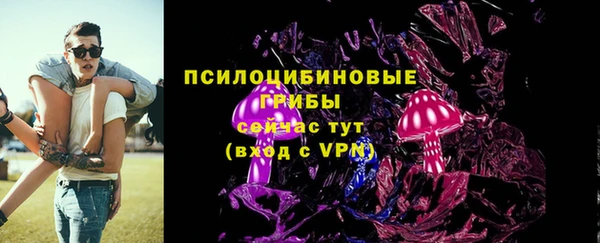 СК Алексин