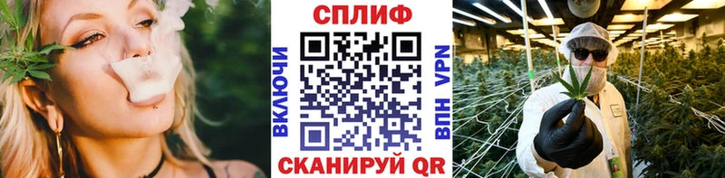 дарнет шоп  hydra ссылка  Бошки марихуана индика  Томск 